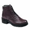 Damskie botki 3329 bordo